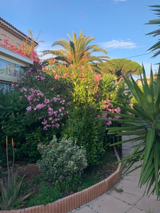 Rose De Sel Lägenhet Hyères Exteriör bild