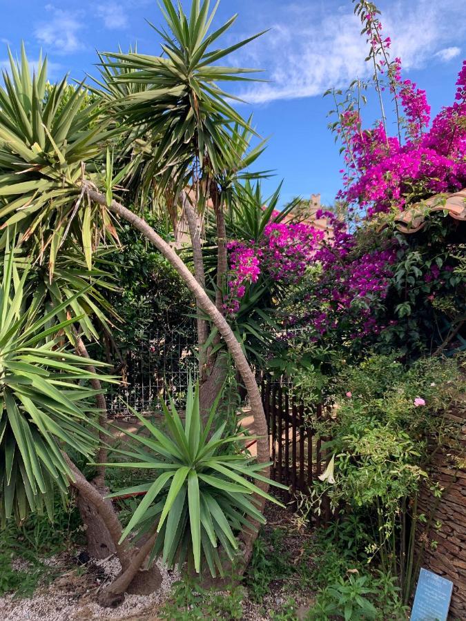 Rose De Sel Lägenhet Hyères Exteriör bild